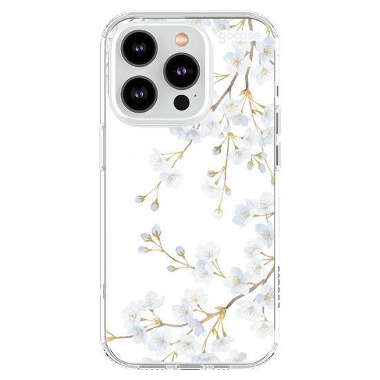  Morning Blossom