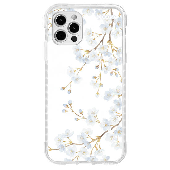  Morning Blossom