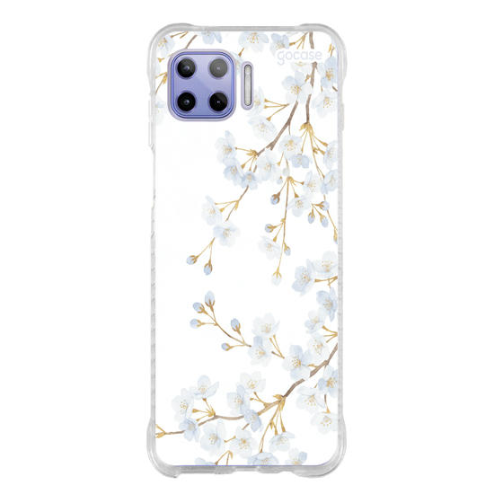  Morning Blossom