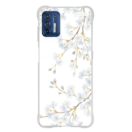  Morning Blossom