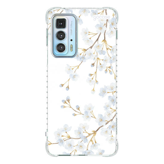  Morning Blossom