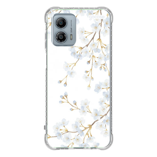  Morning Blossom