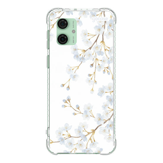  Morning Blossom