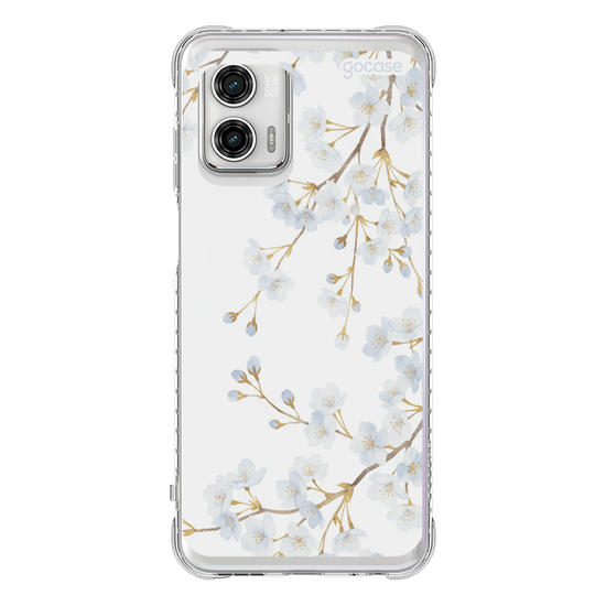  Morning Blossom