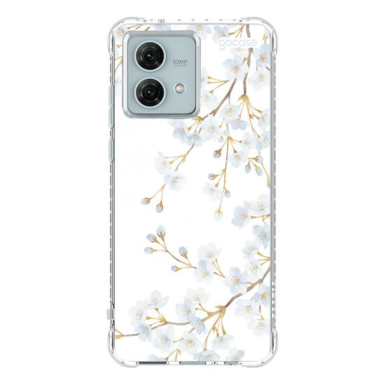  Morning Blossom