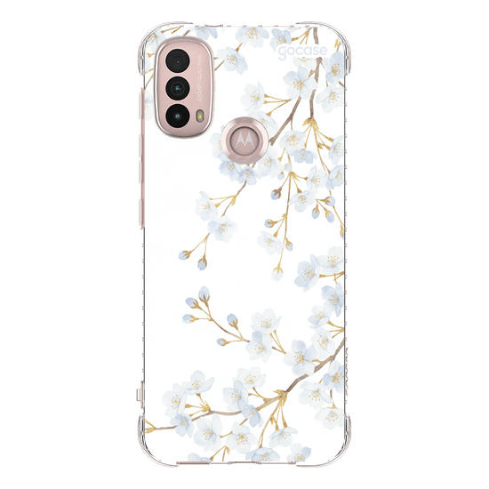  Morning Blossom