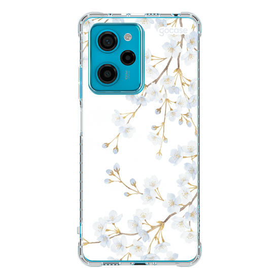  Morning Blossom