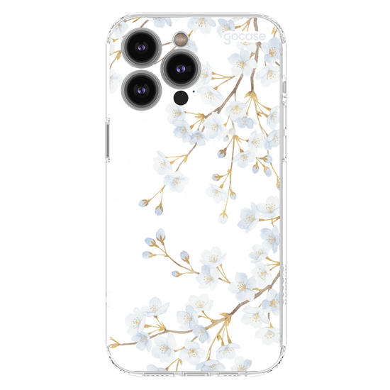  Morning Blossom