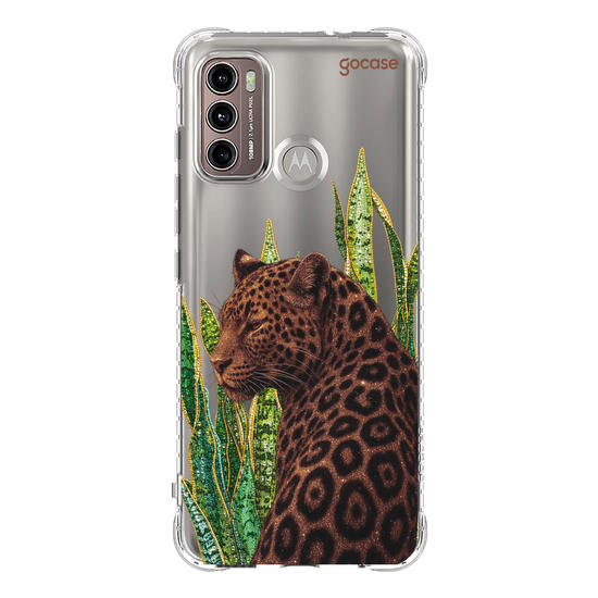  Onça Tropical Cravejado 