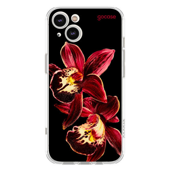  Orquídea Rubi