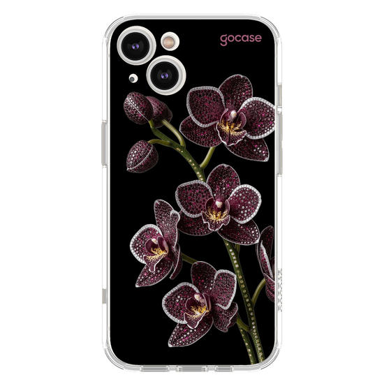  Orquídea Rubi Inicial