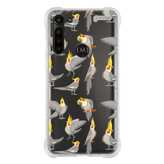 Capinha para celular  Calopsitas