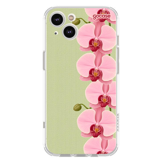  Pink and Green Orchids