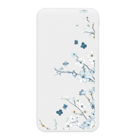 Carregador Portátil Fast Charge -  Ramos Laterais