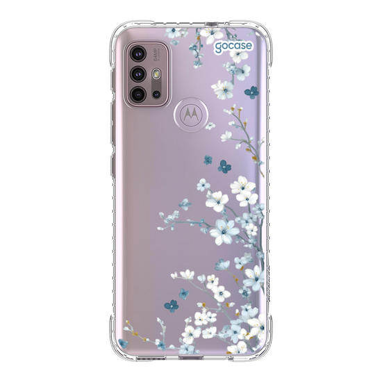 Ramos Laterais  Ramos Laterais