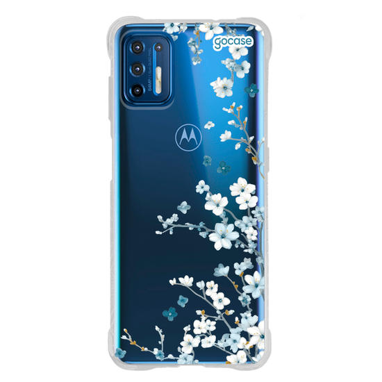 Ramos Laterais  Ramos Laterais