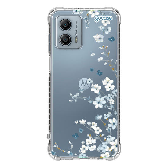 Ramos Laterais  Ramos Laterais