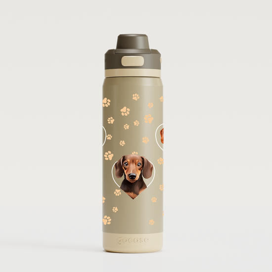  Garrafa Térmica Flip Pro - Meus Pets