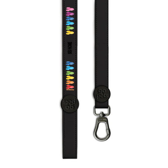 Guia Pet -Mickey & Amigos - Rainbow Mickey