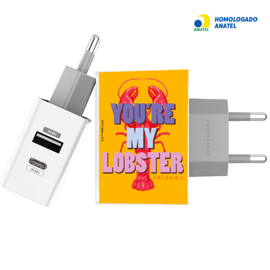 Carregador Turbo Power 18W Gocase - Iphone / Android - Friends - You're My Lobster