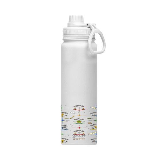 Insulated Water Bottle - Harry Potter - Hogwarts Houses Pattern