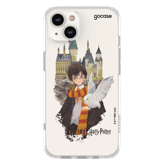  Harry Potter - Harry e Edwirgens em Hogwarts