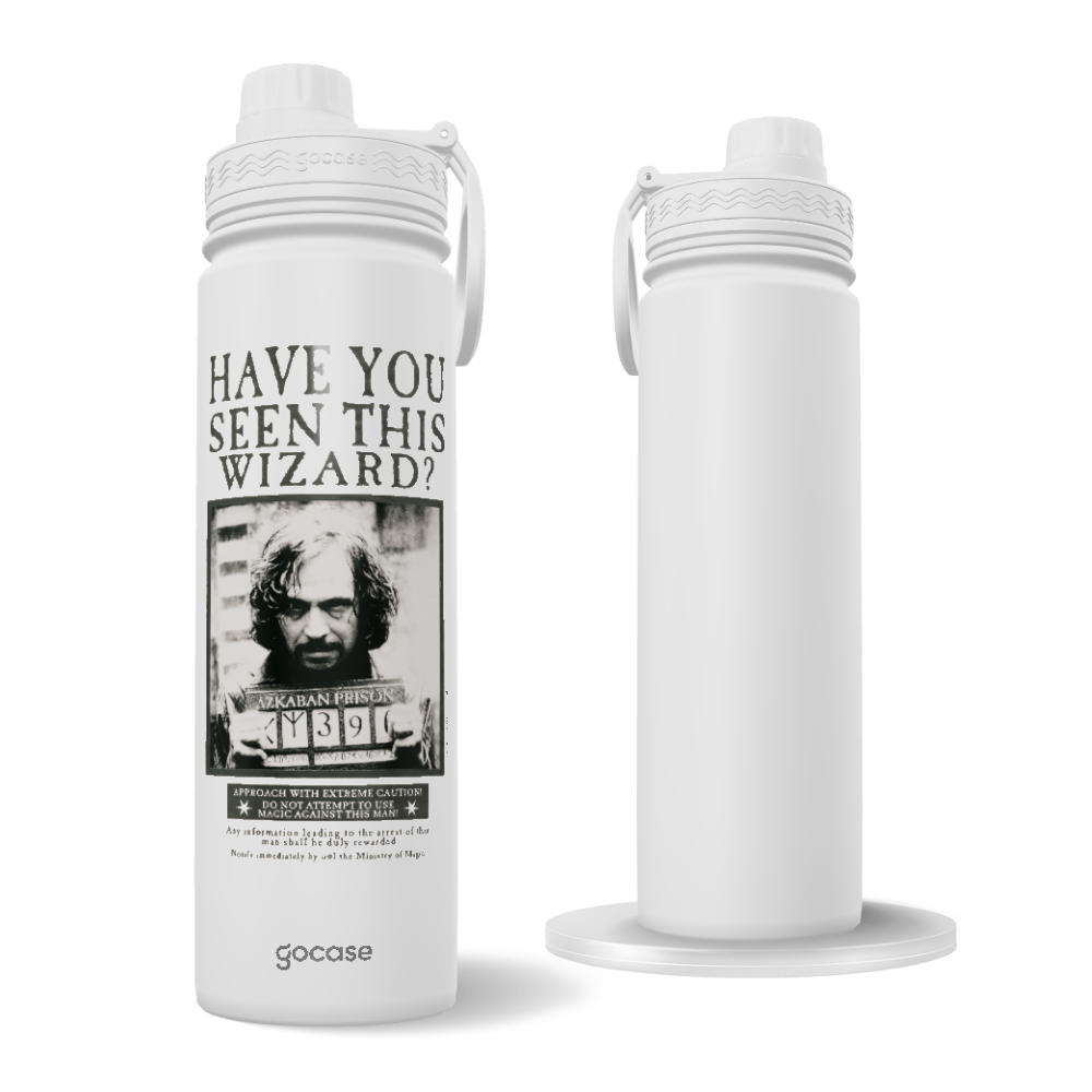 Garrafa Térmica Fresh + Ebook - Harry Potter - Have you seen this wizard