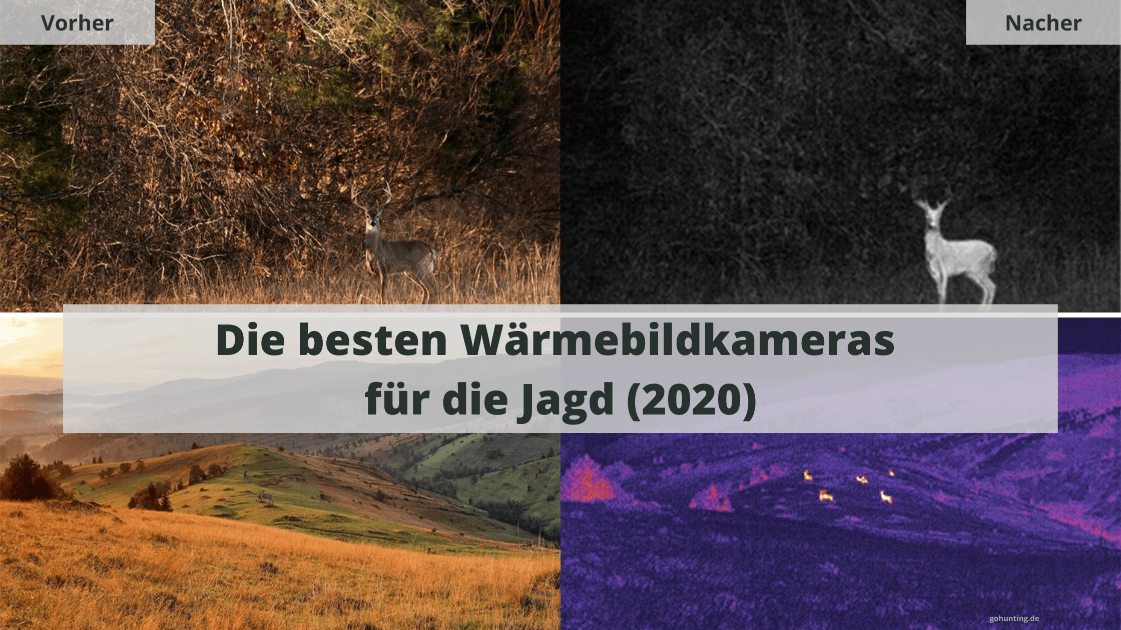 titelbild-kaufberatung-wärmebildkameras-für-die-jagd-gohunting-de