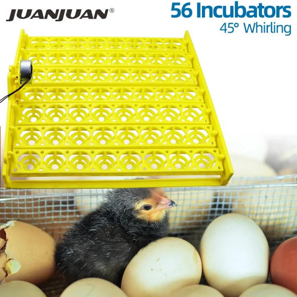 Egg incubator automatic 56 154 plastic bird eggs duck chicken eggs hatching machine 220v incubator trays with auto turn motor | Professional Grade | Bulk Available