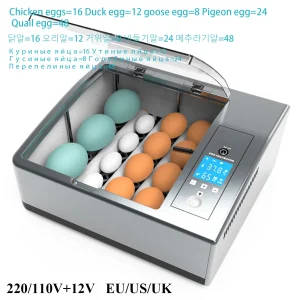 Full automatic egg incubator temperature and humidity display dual power control system automatic eggs hatchery eggs | Professional Grade | Bulk Available