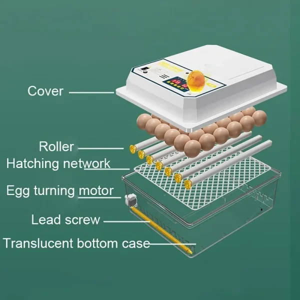 Farm poultry fully automatic turning egg incubator dual-electric mini household brooder for chicken goose duck bird 16 eggs 220v | Professional Grade | Bulk Available - Image 2