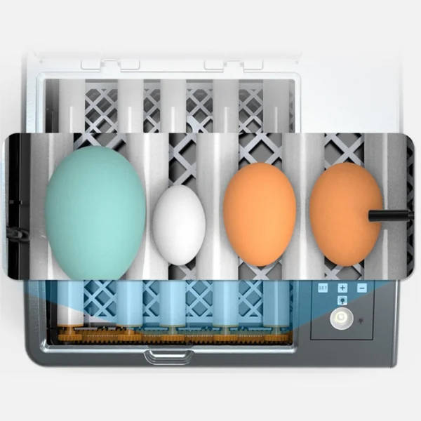 16 eggs fully automatic egg incubator brooder farm incubation tools for chicken duck bird quail poultry hatcher | Professional Grade | Bulk Available - Image 2