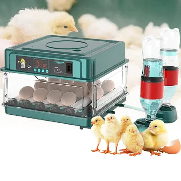 9/15 eggs incubator with drawer automatic waterbed replenishment temperature control full automatic turning hatchery incubator | Professional Grade | Bulk Available - Image 2