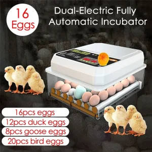 Farm poultry fully automatic turning egg incubator dual-electric mini household brooder for chicken goose duck bird 16 eggs 220v | Professional Grade | Bulk Available