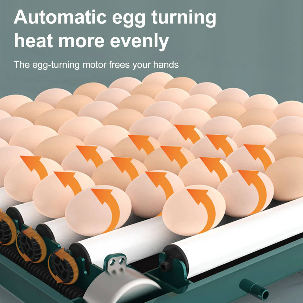 9/15 eggs automatic incubator with drawer type egg hatcher machine with automatic hydrating egg flipping and temperature contro | Professional Grade | Bulk Available Sep-15 9/15 eggs automatic incubator with drawer type egg hatcher machine with automatic hydrating egg flipping and temperature contro | Professional Grade | Bulk Available - Image 3