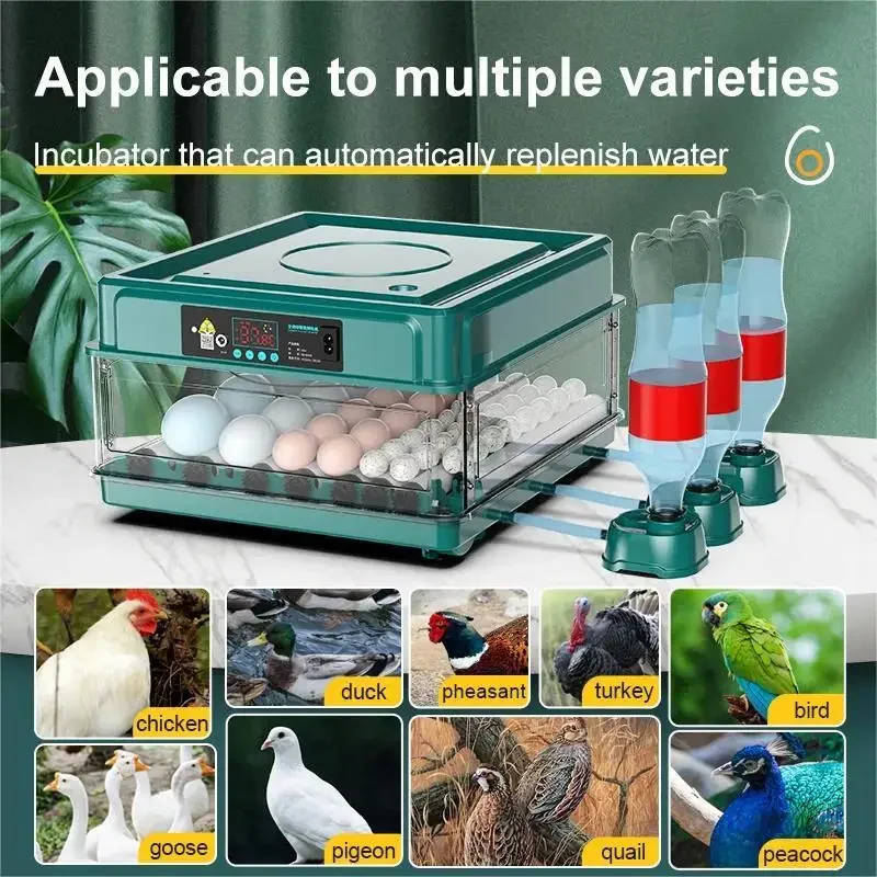 9/15 eggs incubator with drawer type mini egg incubator with automatic water ionic waterbed replenishment and temperature contro | Professional Grade | Bulk Available Sep-15 9/15 eggs incubator with drawer type mini egg incubator with automatic water ionic waterbed replenishment and temperature contro | Professional Grade | Bulk Available - Image 2