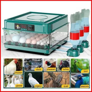 9/15 eggs incubator with drawer type mini egg incubator with automatic water ionic waterbed replenishment and temperature contro | Professional Grade | Bulk Available