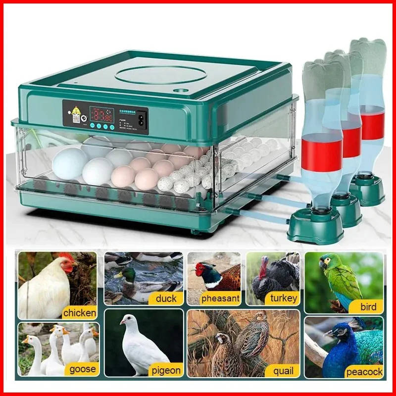 9/15 eggs incubator with drawer type mini egg incubator with automatic water ionic waterbed replenishment and temperature contro | Professional Grade | Bulk Available Sep-15 9/15 eggs incubator with drawer type mini egg incubator with automatic water ionic waterbed replenishment and temperature contro | Professional Grade | Bulk Available