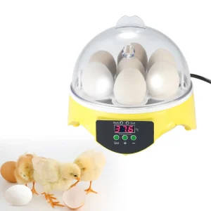 Digital Egg Incubator 7 Eggs
