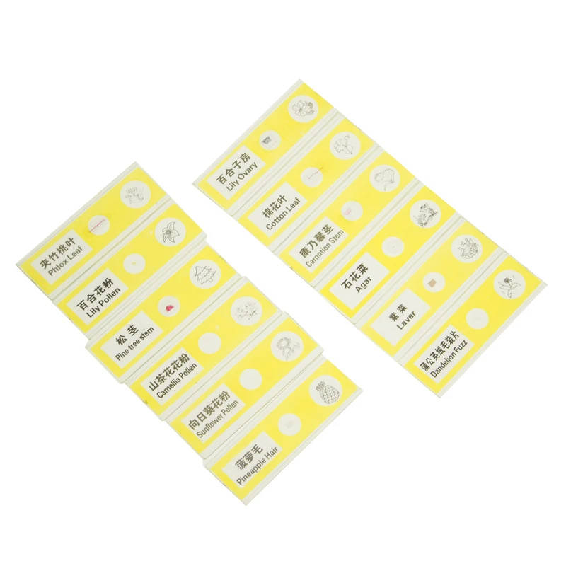 48 Kinds Plastic Prepared Microscope Slides: Animal, Plant, Insect Specimens for Educational and Research Use A comprehensive set of 48 plastic prepared microscope slides featuring a diverse range of animal, plant, and insect specimens. Ideal for educational and research purposes. A comprehensive set of 48 plastic prepared microscope slides featuring a diverse range of animal, plant, and insect specimens. Ideal for educational and research purposes. 48 Kinds Plastic Prepared Microscope Slides: Animal, Plant, Insect Specimens for Educational and Research Use - Image 6