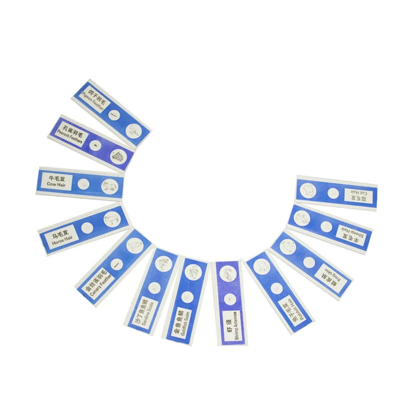 48 Kinds Plastic Prepared Microscope Slides: Animal, Plant, Insect Specimens for Educational and Research Use A comprehensive set of 48 plastic prepared microscope slides featuring a diverse range of animal, plant, and insect specimens. Ideal for educational and research purposes. A comprehensive set of 48 plastic prepared microscope slides featuring a diverse range of animal, plant, and insect specimens. Ideal for educational and research purposes. 48 Kinds Plastic Prepared Microscope Slides: Animal, Plant, Insect Specimens for Educational and Research Use - Image 3