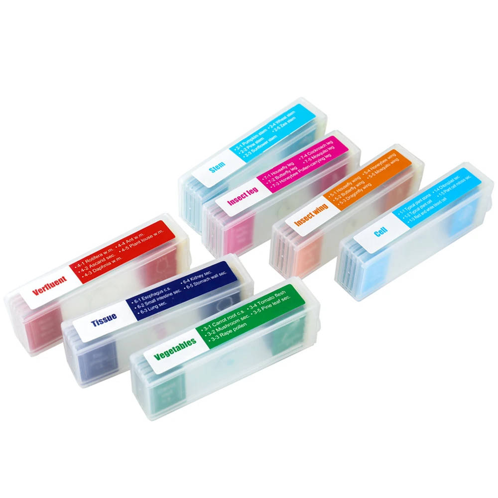 35 PCS Microscope Specimen Slide Set: Prepared Biological and Digital Microscope Slides for Education Our 35-piece set of microscope specimen slides offers a diverse range of biological samples, perfect for educational purposes in primary and secondary settings. Our 35-piece set of microscope specimen slides offers a diverse range of biological samples, perfect for educational purposes in primary and secondary settings. 35 PCS Microscope Specimen Slide Set: Prepared Biological and Digital Microscope Slides for Education - Image 6