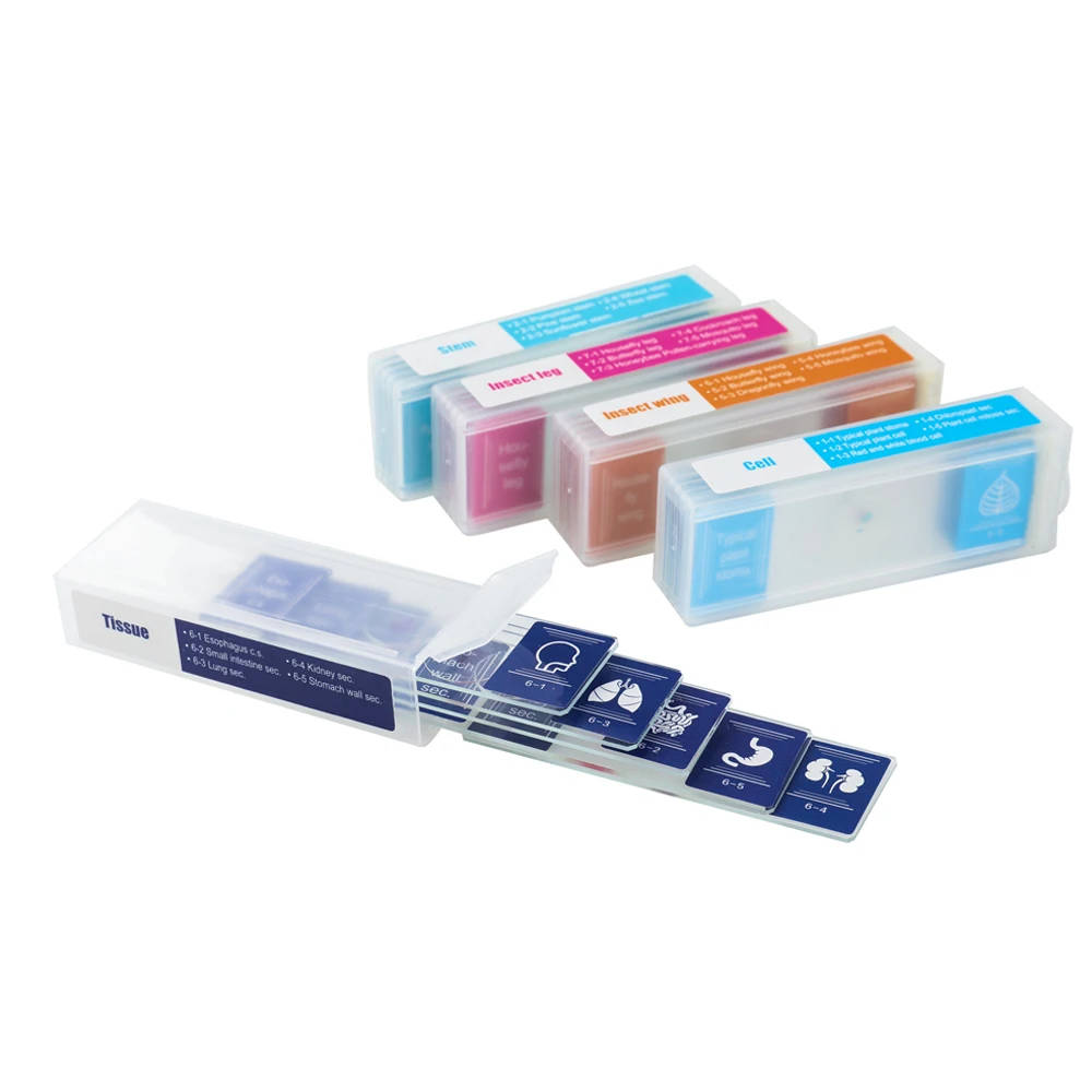 35 PCS Microscope Specimen Slide Set: Prepared Biological and Digital Microscope Slides for Education Our 35-piece set of microscope specimen slides offers a diverse range of biological samples, perfect for educational purposes in primary and secondary settings. Our 35-piece set of microscope specimen slides offers a diverse range of biological samples, perfect for educational purposes in primary and secondary settings. 35 PCS Microscope Specimen Slide Set: Prepared Biological and Digital Microscope Slides for Education - Image 3