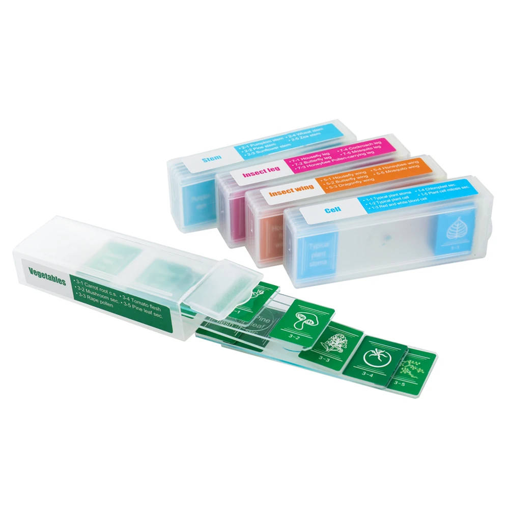 35 PCS Microscope Specimen Slide Set: Prepared Biological and Digital Microscope Slides for Education Our 35-piece set of microscope specimen slides offers a diverse range of biological samples, perfect for educational purposes in primary and secondary settings. Our 35-piece set of microscope specimen slides offers a diverse range of biological samples, perfect for educational purposes in primary and secondary settings. 35 PCS Microscope Specimen Slide Set: Prepared Biological and Digital Microscope Slides for Education - Image 5