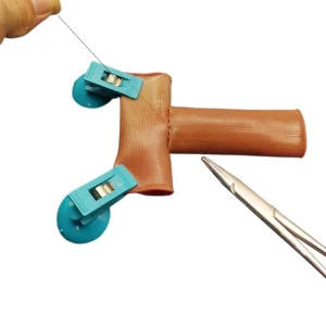 Intestinal Anastomosis Suturing Training Model