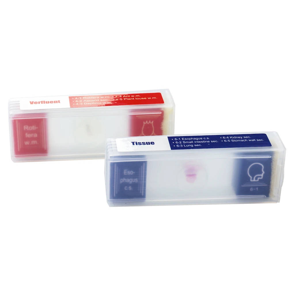 35 PCS Microscope Specimen Slide Set: Prepared Biological and Digital Microscope Slides for Education Our 35-piece set of microscope specimen slides offers a diverse range of biological samples, perfect for educational purposes in primary and secondary settings. Our 35-piece set of microscope specimen slides offers a diverse range of biological samples, perfect for educational purposes in primary and secondary settings. 35 PCS Microscope Specimen Slide Set: Prepared Biological and Digital Microscope Slides for Education - Image 4
