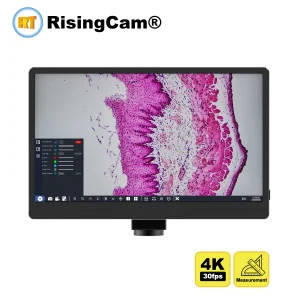 Digital Microscope Camera With 11.6" Screen