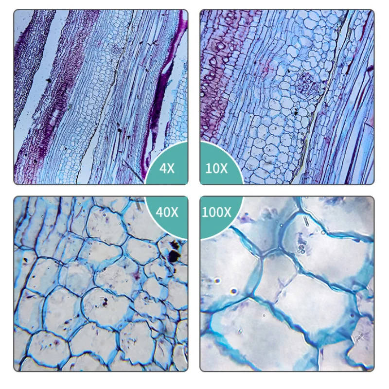 195 Achromatic Objective Lens 4X 10X 20X 40X 60X 100X: High-Quality RMS 20.2mm Optical Objective Parts High-quality 195 Achromatic Objective Lens with RMS 20.2mm interface, available in various magnifications to suit your lab's specific needs. High-quality 195 Achromatic Objective Lens with RMS 20.2mm interface, available in various magnifications to suit your lab's specific needs. 195 Achromatic Objective Lens 4X 10X 20X 40X 60X 100X: High-Quality RMS 20.2mm Optical Objective Parts - Image 6
