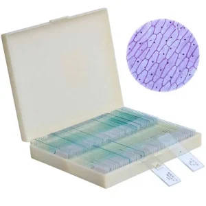 100PCS Prepared Microscope Slides: Animal, Plant, Human Tissue Specimens for Biological Education