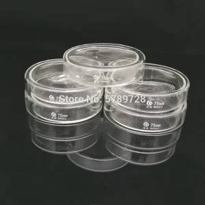 75mm Borosilicate Glass Petri Dishes